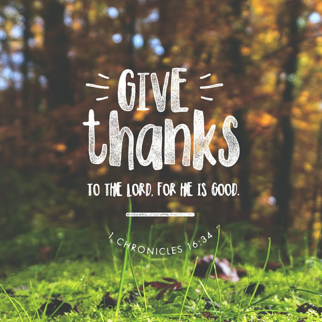 1 Chronicles 16:34 NLT 1 Chronicles 16:34 NLT
