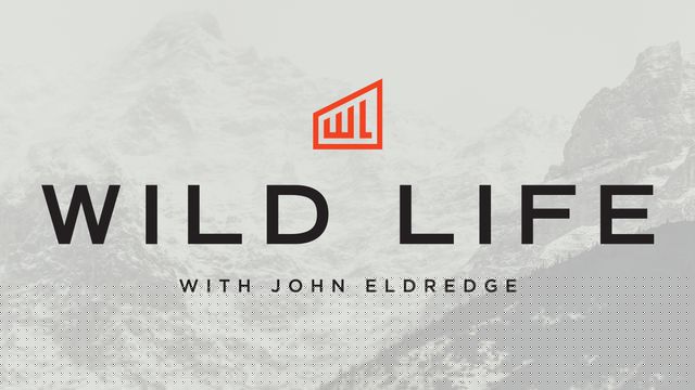 Wild Life Wild Life