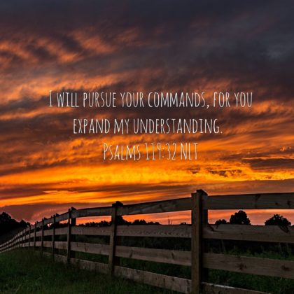 The Pursuit Of Understanding