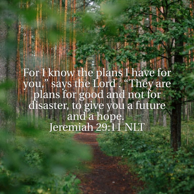 God’s Plans, My Hope