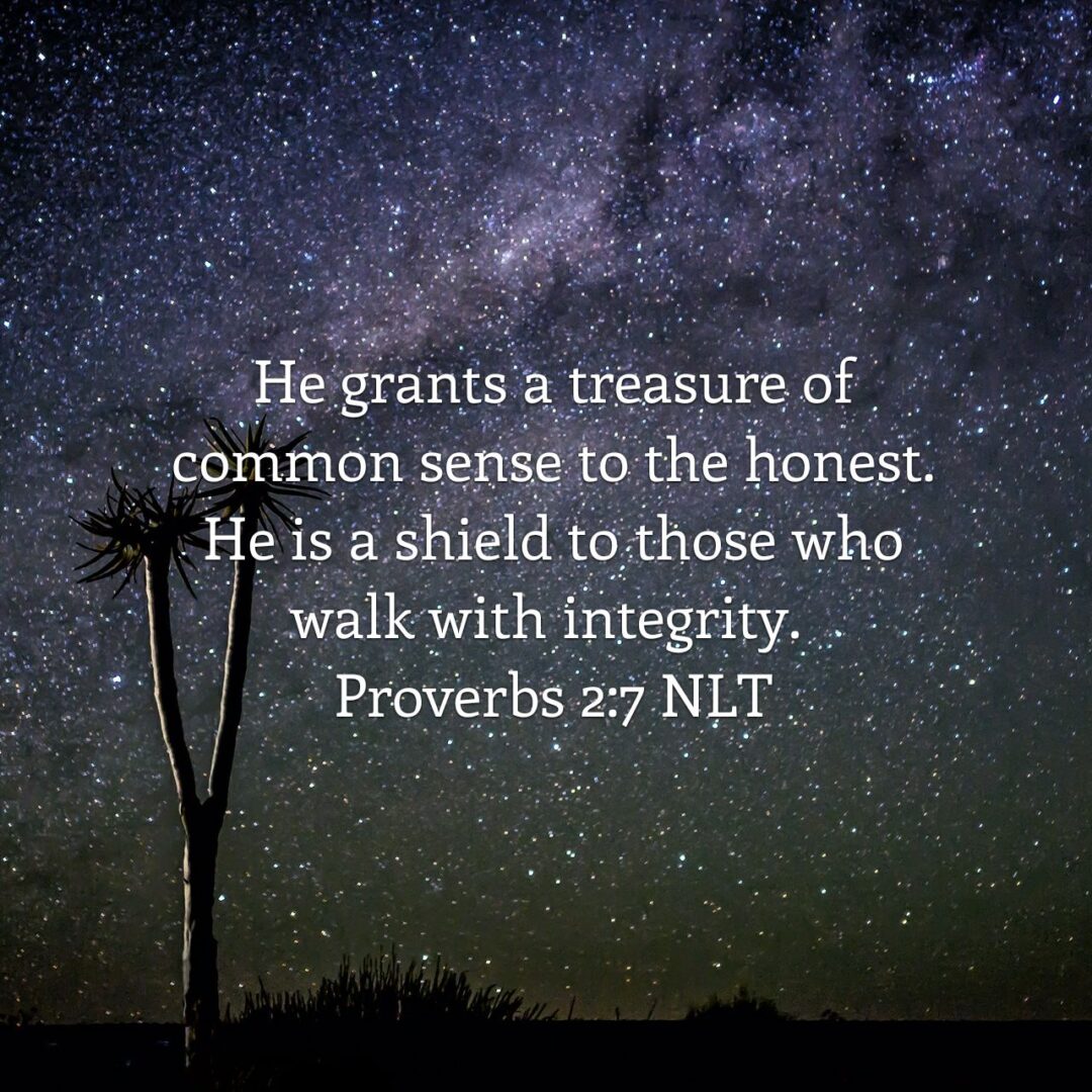 He grants a treasure of common sense to the honest. He is a shield to those who walk with integrity. - Proverbs 2:7 NLT