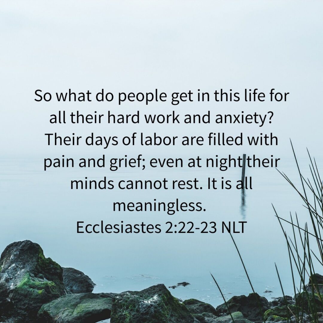 So what do people get in this life for all their hard work and anxiety? Their days of labor are filled with pain and grief; even at night their minds cannot rest. It is all meaningless. - Ecclesiastes 2:22‭-‬23 NLT