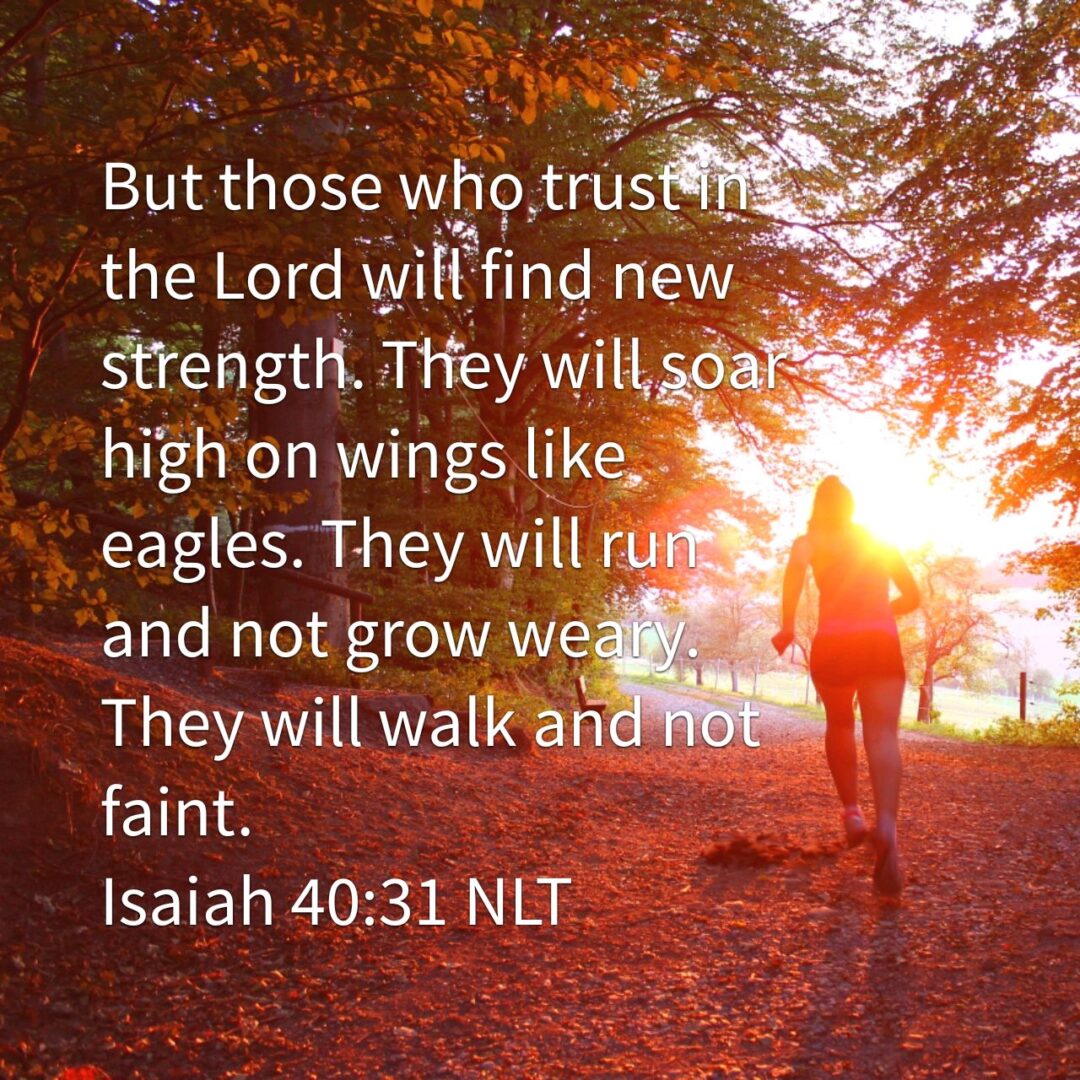 But those who trust in the Lord will find new strength. They will soar high on wings like eagles. They will run and not grow weary. They will walk and not faint. - Isaiah 40:31 NLT