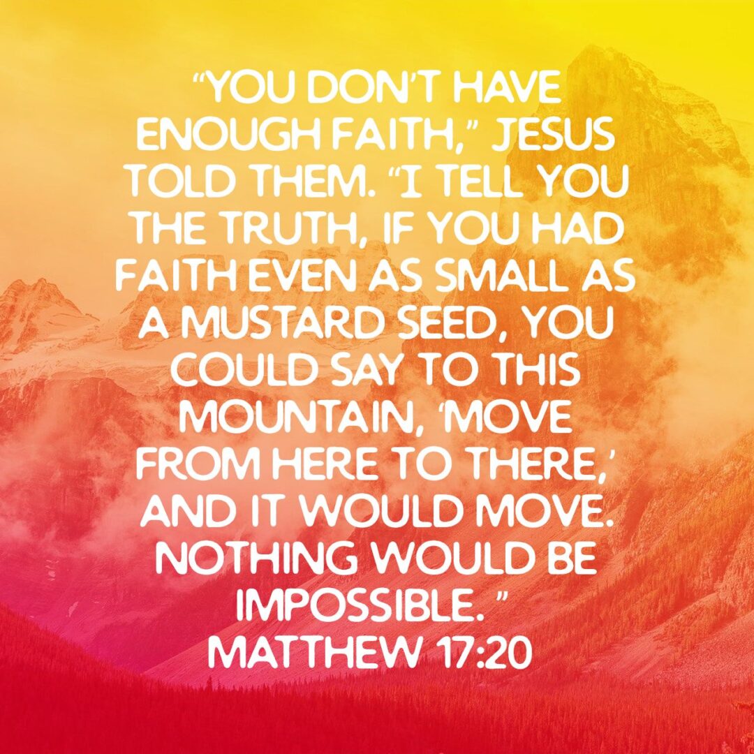 “You don’t have enough faith,” Jesus told them. “I tell you the truth, if you had faith even as small as a mustard seed, you could say to this mountain, ‘Move from here to there,’ and it would move. Nothing would be impossible. ”
 - Matthew 17:20 NLT